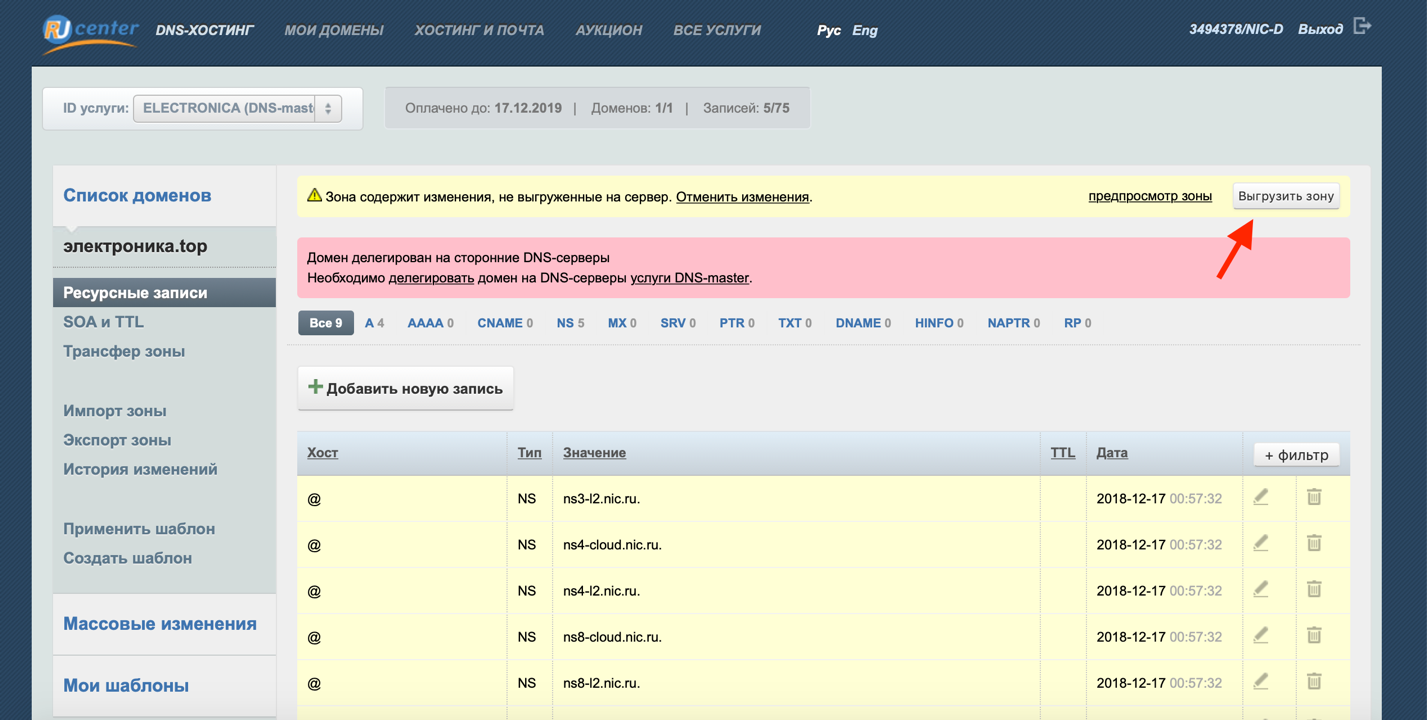 DNS запись NS. Ru Center хостинг. А-запись домена что это. Txt запись в DNS. Socialvizor ru